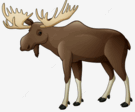 0501s5ay-dffe-135x112.png