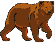 0501s5bp-6871-191x152.png