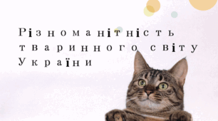 Різноманітність тваринного світу України