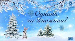 Однина чи множина? - тренажер з української мови