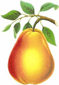 0501sdve-4118-87x124.png