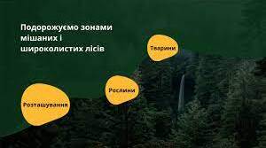 Тест на тему: "Подорожуємо  зонами мішаних і  широколистих лісів" з предмету Я досліджую світ 4 клас