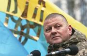 Залужний захистив дисертацію з права, проте роботу засекретили