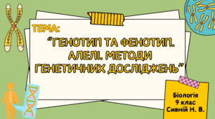 ПРЕЗЕНТАЦІЯ : “Генотип та фенотип. Алелі. методи генетичних досліджень” 9клас біологія