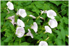 0501shyn-0644-220x147.png