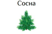 0501silh-8159-212x140.png