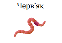 0501simn-0510-214x150.png
