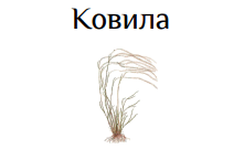 0501sin2-48cf-221x145.png