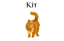 0501sin8-6790-224x144.png