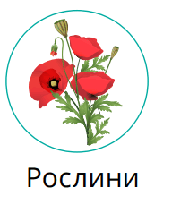 0501sirj-a343-192x238.png
