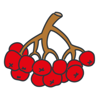 0501sk7n-d488-200x200.png