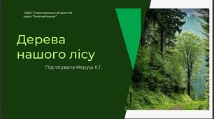 Презентація "Дерева нашого краю"