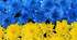 Відмінювання іменників ІІІ відміни