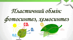 Пластичний обмін (фотосинтез, хемосинтез, типи живлення)