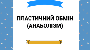 Біологічна гра «Вірю - не вірю»  з теми «Пластичний обмін»