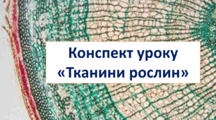Конспект уроку "Тканини рослин"