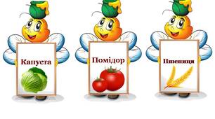 Набір табличок для оформлення городу у ЗДО