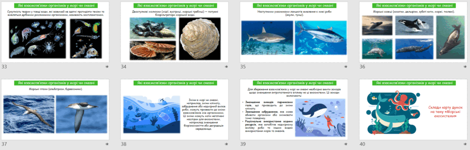 0501srjp-6c1e-940x301.png