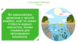 Урок на тему "Які взаємозв’язки організмів у прісній водоймі, морі чи океані. Стійкість водних екосистем. Умови існування для прісноводних мешканців." (Конспект, презентація, робочі картки для учнів)