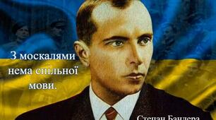Цитата дня