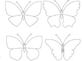 0501stgn-76ff-259x194.jpg