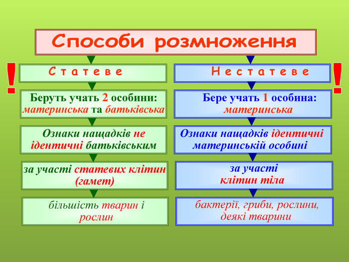 0501sthg-71eb-700x525.jpg