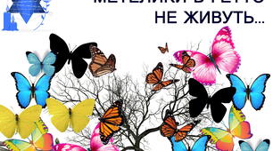 27 січня: День вшанування жертв Голокосту. Плакат співпраці "Дерево пам'яті: метелики в гетто не живуть"
