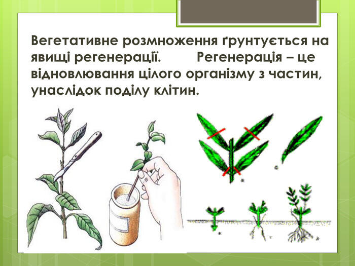 0501stid-80d7-700x525.jpg