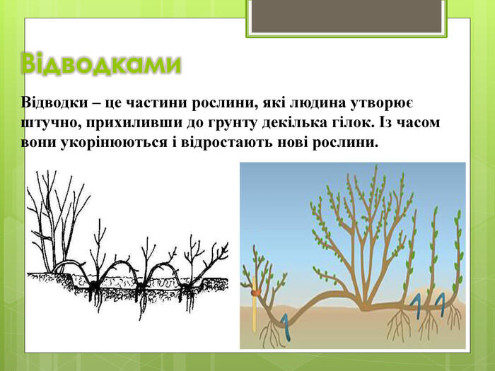 0501stil-a4ea-700x525.jpg