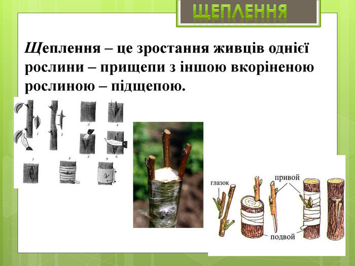0501stio-83cb-700x525.jpg