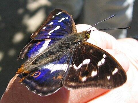 0501stkl-8536-480x360.jpg