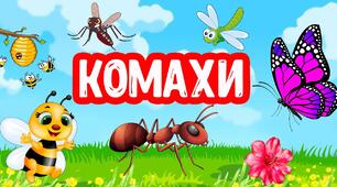 Комахи