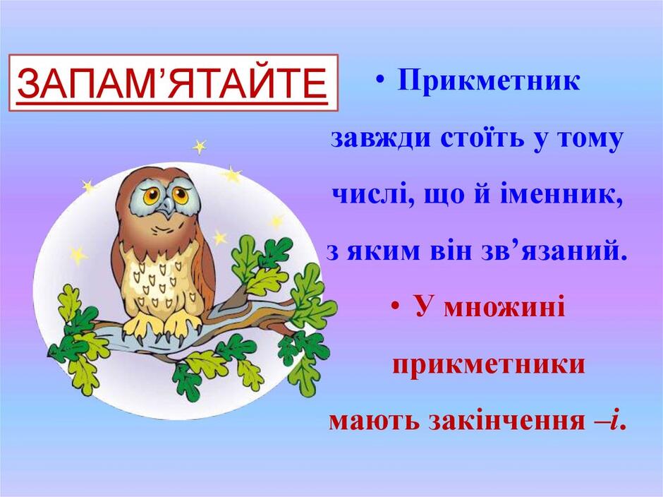 Змінювання прикметників за числами в сполученні з іменниками - презентация онлайн
