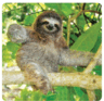 0501suad-d49b-96x93.png