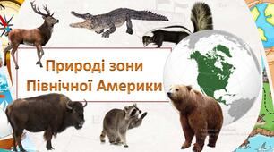 Презентація + робочі листи з географії для 7 кл на тему "Природні зони Північної Америки"