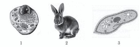 0501svd2-f216-455x154.png
