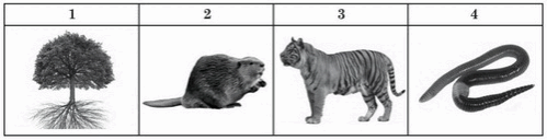 0501svp5-c93e-499x128.png