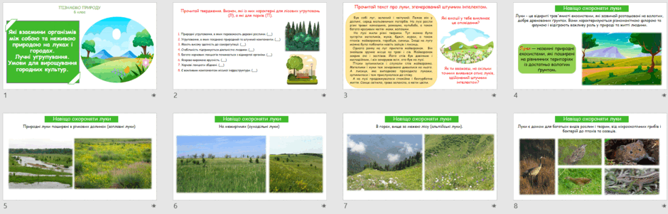 0501svs7-5213-940x301.png