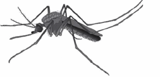 0501svwt-6d2b-329x158.png
