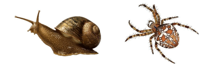 0501sw1i-3620-438x135.png