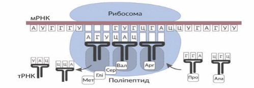 0501sw6g-538d-499x173.png