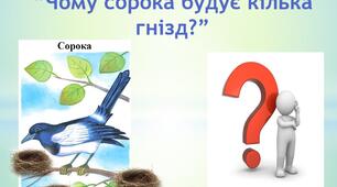 Розвиток мовлення  «Чому сорока будує кілька гнізд?» (презентація)