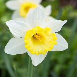 0501sy5x-f999-309x309.jpg