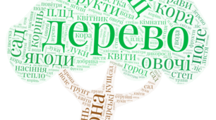 Хмаринка слів до тижня "Світ рослин"