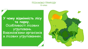 Урок на тему "У чому відмінність лісу та парку. Особливості лісових угруповань. Взаємозв’язки організмів в лісових угрупованнях." (Конспект, презентація, робочі картки для учнів)