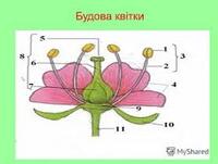 0501szd4-5633-200x151.jpg