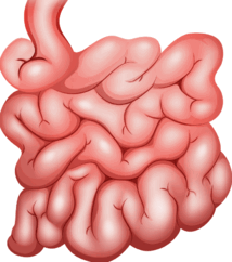 0501t05x-5fe1-214x242.png
