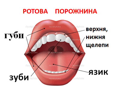 0501t065-6cf6-398x298.png