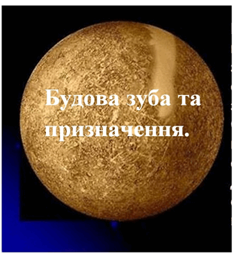 0501t07x-8011-335x366.png