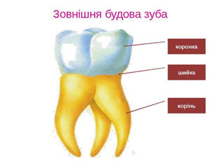0501t07y-e804-320x240.png